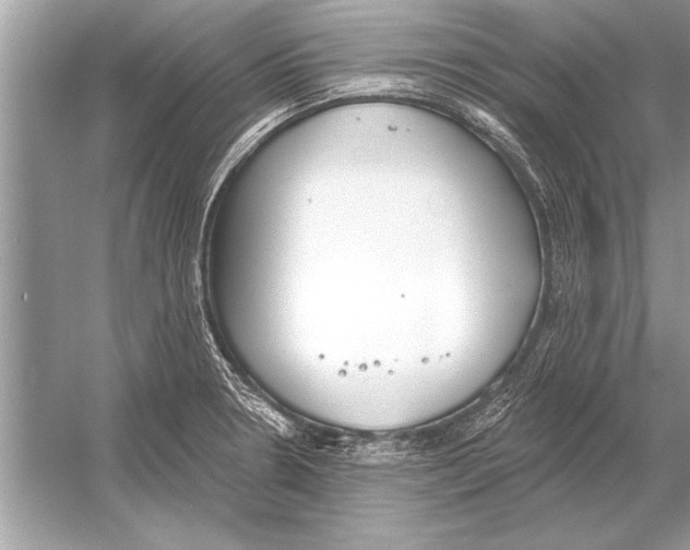 X0000051921330200507222124