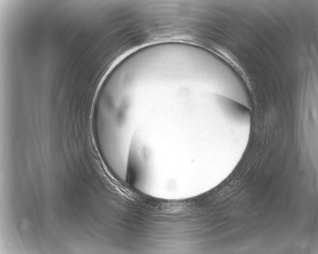 X0000051921332200507222124