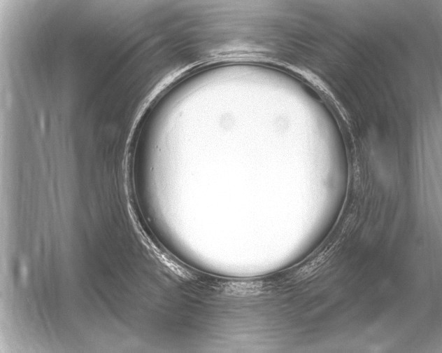 X0000051921333200507222124