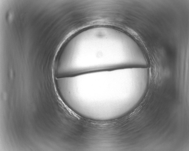 X0000051921334200507222124