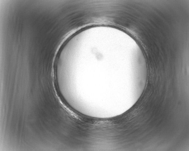 X0000051921335200507222124