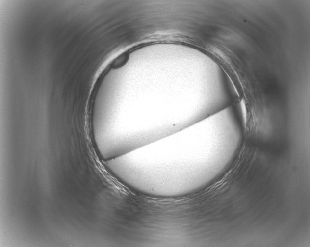 X0000051921336200507222124