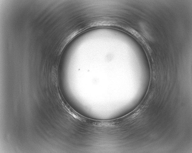 X0000051921337200507222124