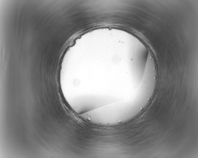 X0000051921338200507222124