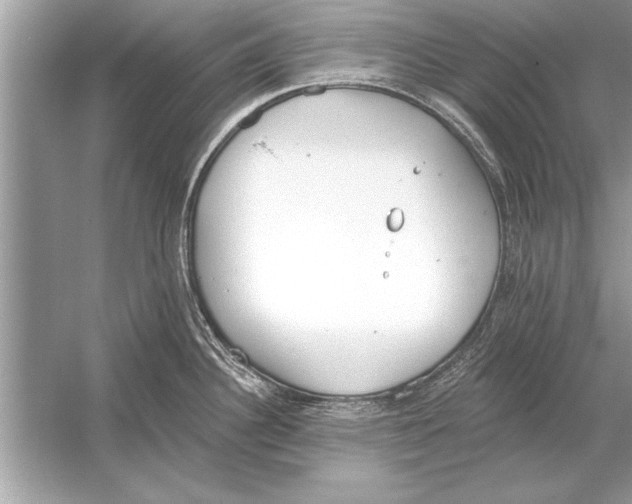 X0000051921340200507222124