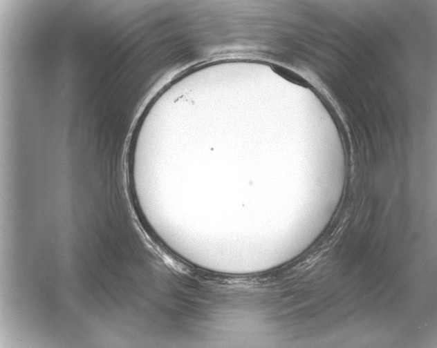 X0000051921341200507222124