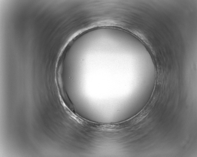 X0000051921342200507222124