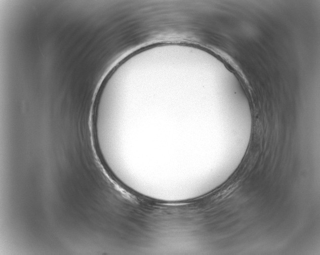 X0000051921343200507222124