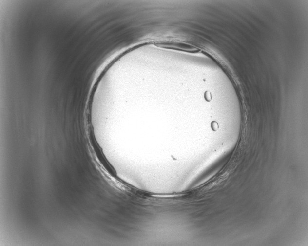 X0000051921344200507222124