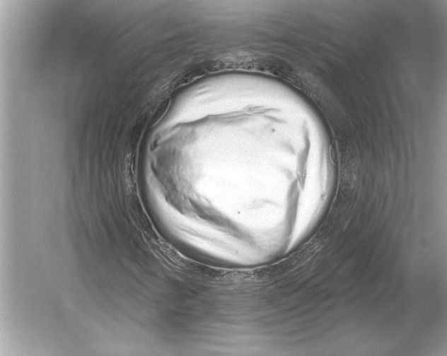 X0000051921346200507222124