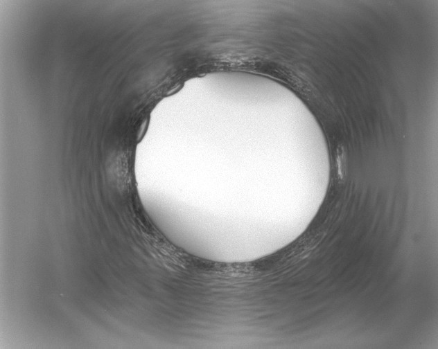 X0000051921347200507222124