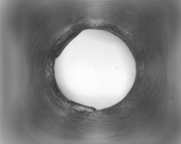 X0000051921349200507222123