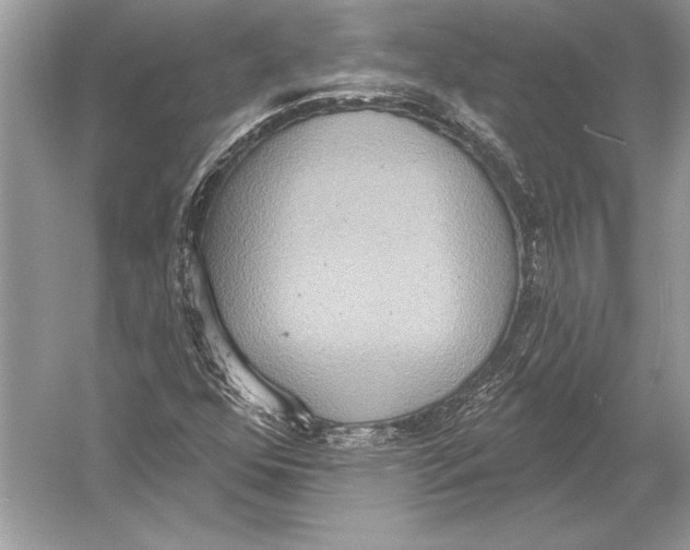 X0000051921352200507222123