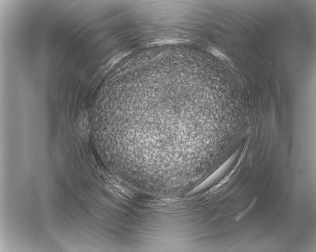 X0000051921353200507222123