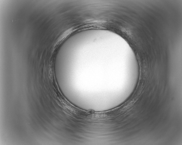 X0000051921354200507222123