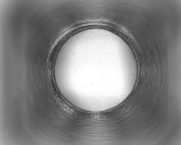 X0000051921360200507222123