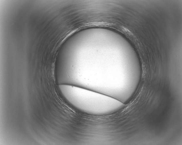 X0000051921361200507222123