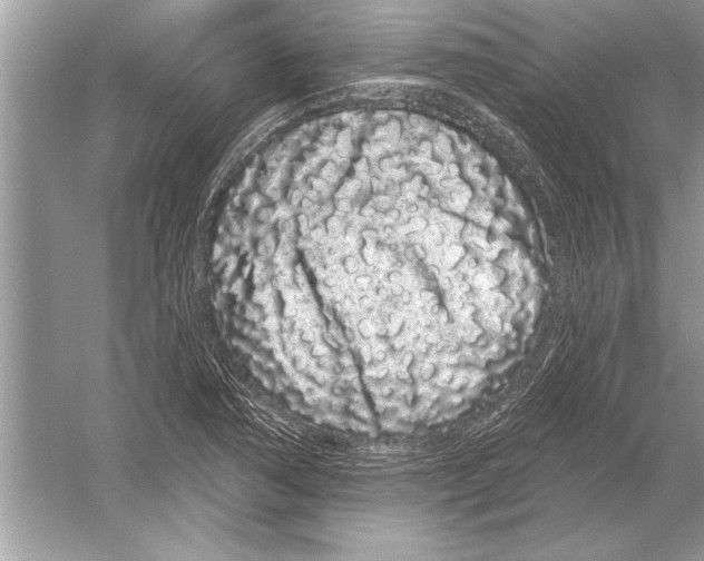 X0000051921362200507222123