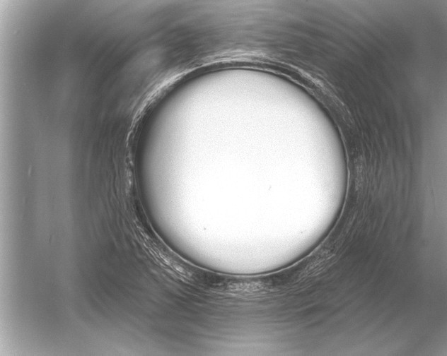 X0000051921363200507222123