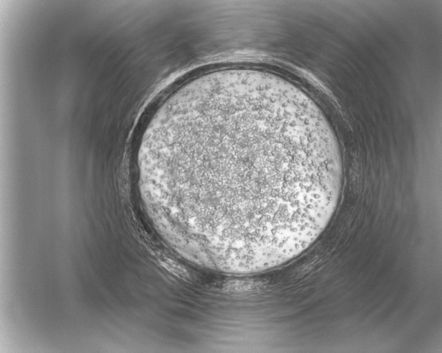 X0000051921364200507222123