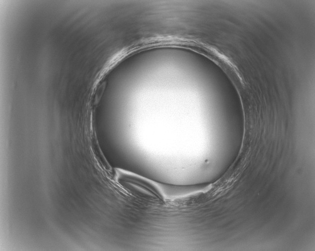 X0000051921365200507222123