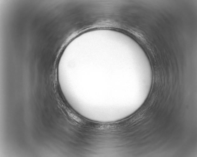 X0000051921366200507222123