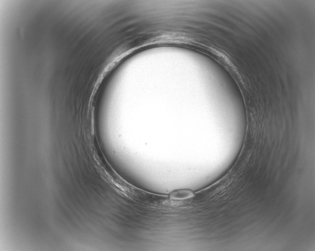 X0000051921371200507222123