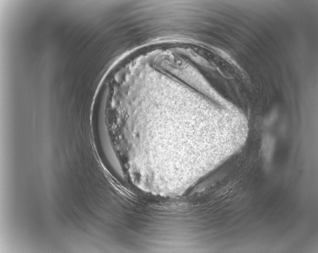 X0000051921372200507222123