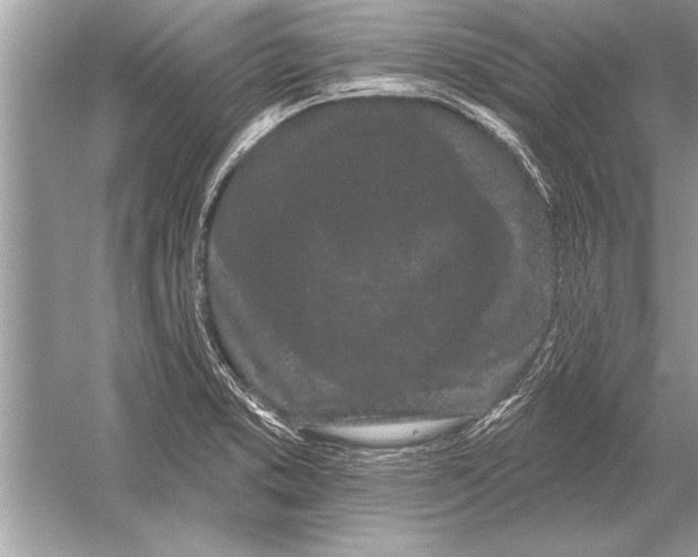 X0000051921373200507222123