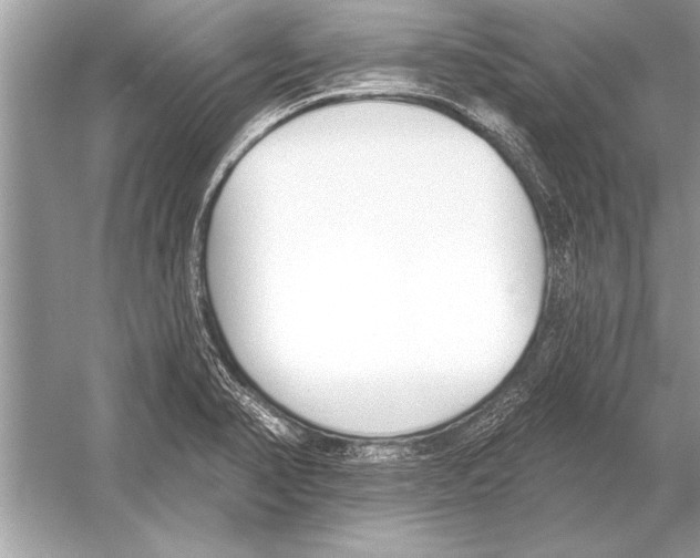 X0000051921374200507222123