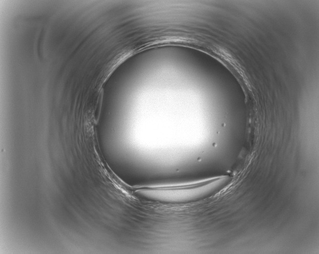 X0000051921377200507222123