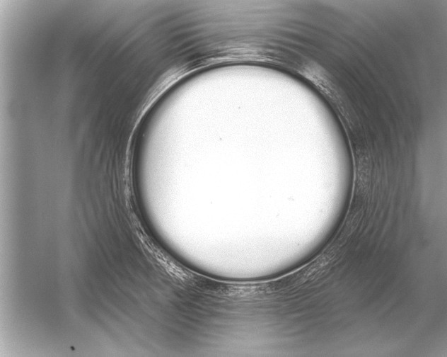 X0000051921378200507222123