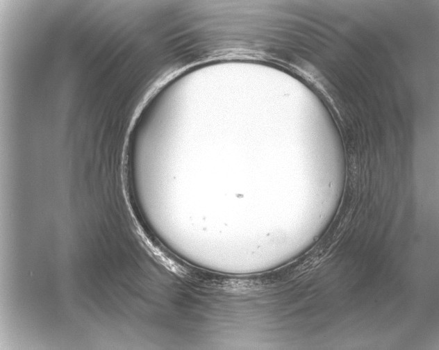 X0000051921379200507222123