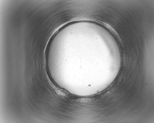 X0000051921380200507222123