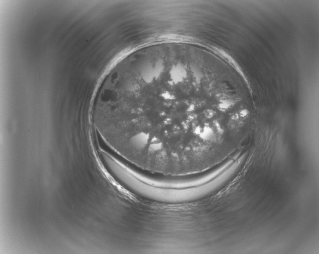 X0000051921381200507222123