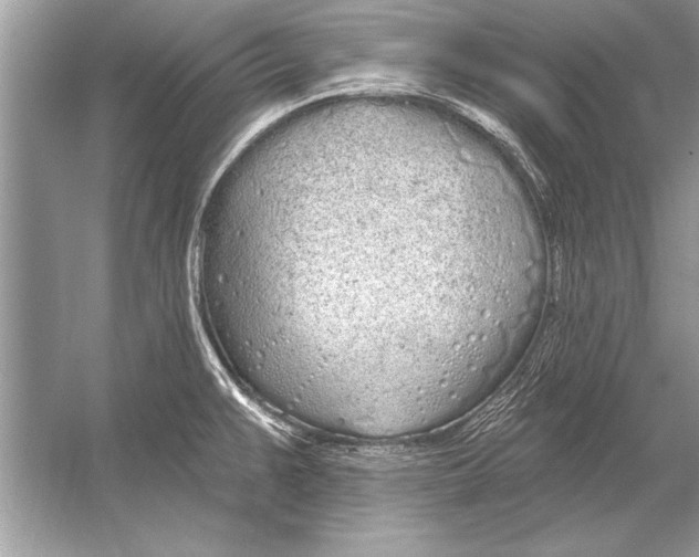 X0000051921383200507222123