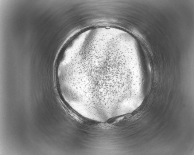 X0000051921384200507222123