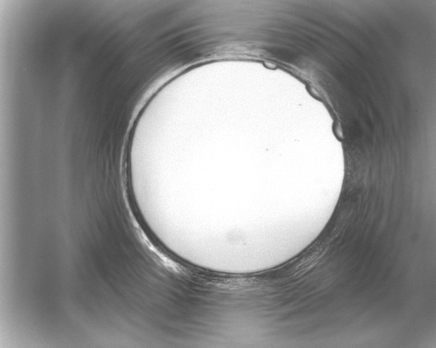 X0000051921387200507222123