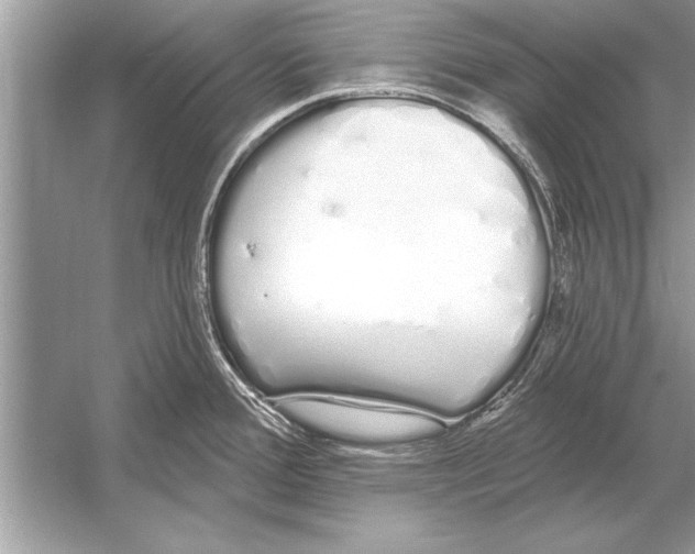 X0000051921388200507222123