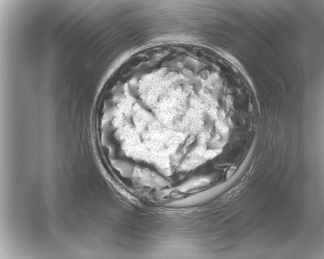 X0000051921389200507222123