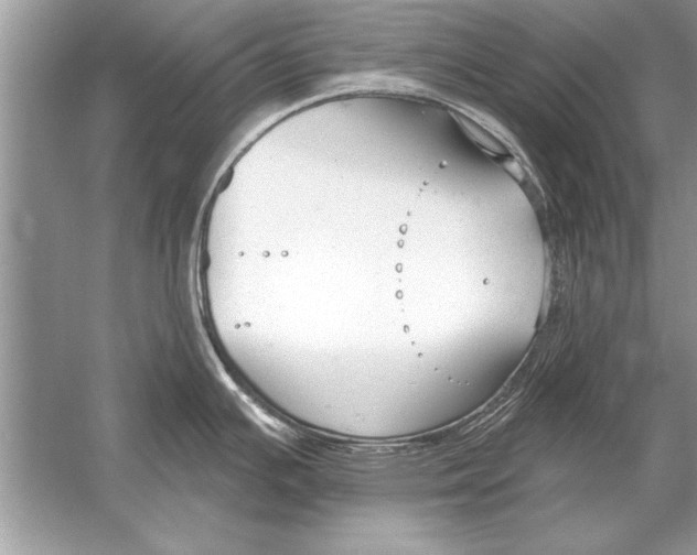 X0000051921391200507222123