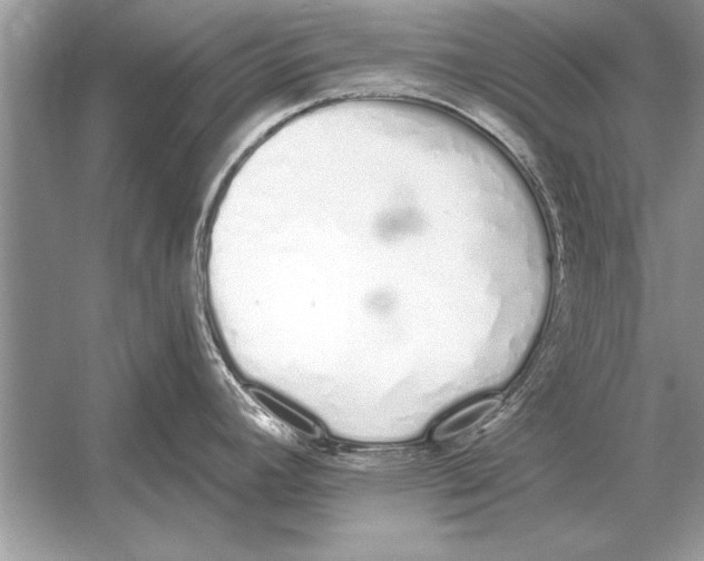 X0000051921392200507222123