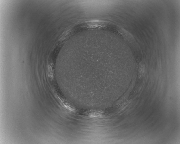 X0000051921394200507222122