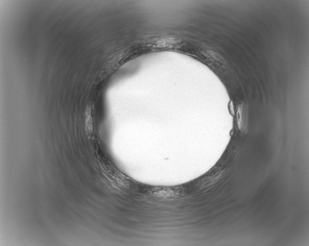 X0000051921395200507222122