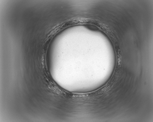 X0000051921397200507222122