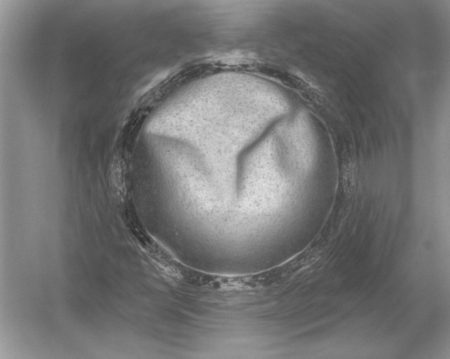 X0000051921398200507222122