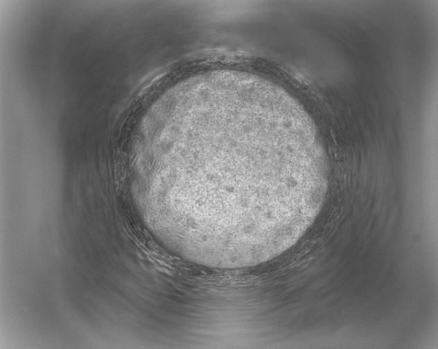 X0000051921399200507222122