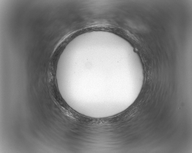 X0000051921400200507222122