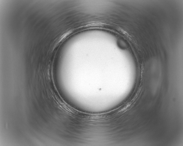 X0000051921401200507222122