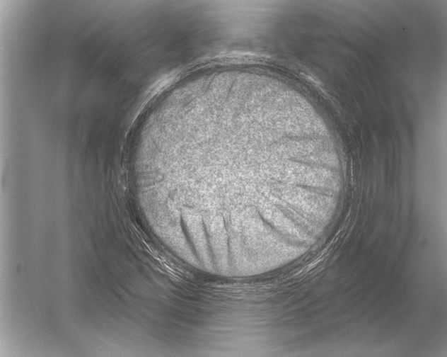 X0000051921405200507222122